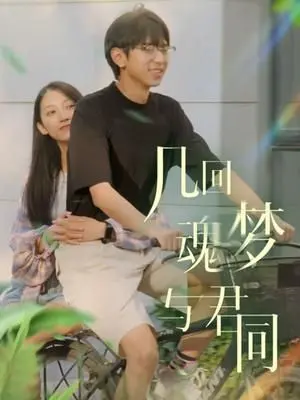 《几回魂梦与君同》：穿越时空的爱恋，魂牵梦萦的宿命