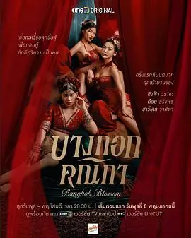 《曼谷名妓》：揭秘泰国暗黑角落，残酷现实下的女性悲歌与生死归途